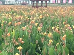 -那考河湿地公园