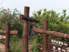 -鬼笑石后山停车场