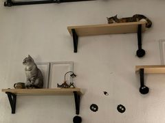-隅cafe(傅厚岗店)