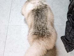 -汪说·狗咖(旺城大厦店)