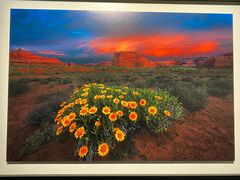 -罗红摄影艺术馆