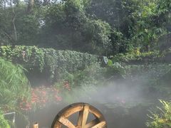 -中国科学院西双版纳热带植物园