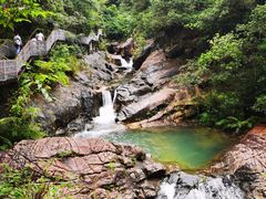 -广州白江湖森林公园