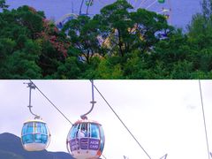-香港海洋公园