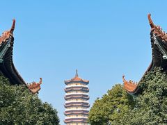 -妙乐寺