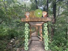 -大岭沟猕猴桃谷风景区