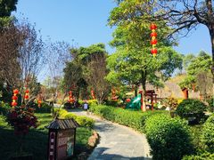 -森波拉火山温泉