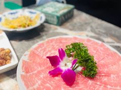 -禄婶鸡煲·打边炉