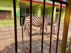 -荆州中山公园动物园