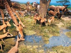 -国家自然博物馆