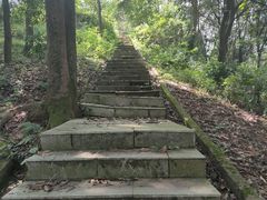 -广州市帽峰山景区