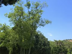 -在海一方公园