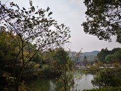 -白马涧龙池景区