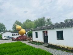 -溱湖国家湿地公园