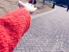 -明故宫遗址公园