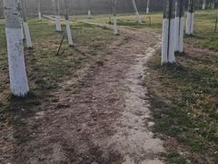 -汉长安城未央宫国家考古遗址公园