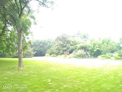 -西湖外事游船(花港观鱼码头)