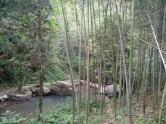 -夏霖九天银瀑风景区