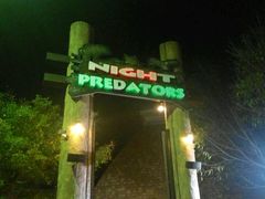 -清迈夜间动物园