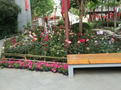 -西安曲江寒窑遗址公园
