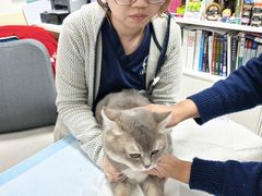 -美联众合动物医院·24h转诊中心