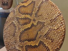 -中国民族乐器博物馆