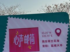 -荷兰花海