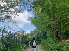 -铁山坪森林公园