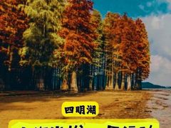 -四明湖