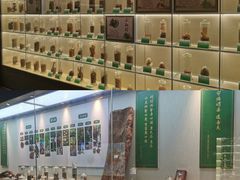 -广东中医药博物馆