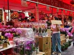 -越秀西湖花市(广州城市广场花卉店)