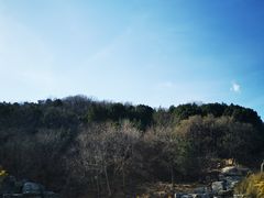 -北京西山国家森林公园