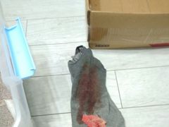 被血浸透的衣服和纱布。-思宇宠物医院