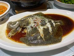 清蒸多宝鱼-鸭王烤鸭店(三里河店)