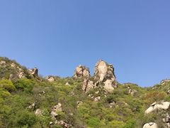 -大岭沟猕猴桃谷风景区