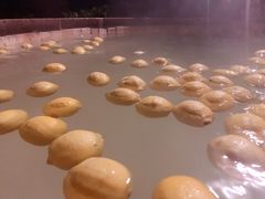 -天目湖涵田半山温泉