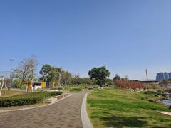 -桂溪生态公园