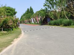 -上海长兴岛郊野公园