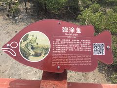 -北海金海湾红树林生态旅游区