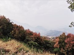-广州市石门国家森林公园