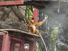 -南昌动物园