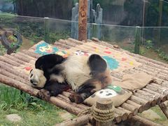 -大连森林动物园