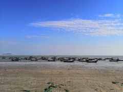 -六鳌翡翠湾滨海度假景区