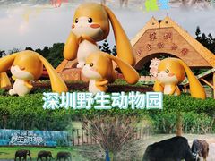 -深圳野生动物园