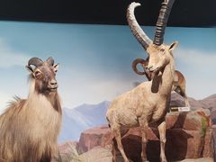 -陕西自然博物馆