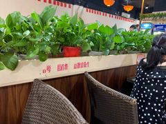 露天位-姐妹临高乳猪店(海垦路店)