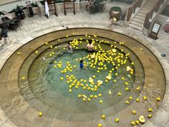 -苏州湾·王焰温泉