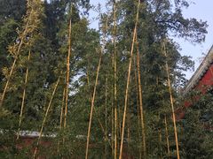 -香山公园-东宫门售票处