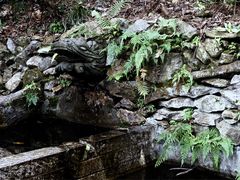 -楠溪江风景名胜区