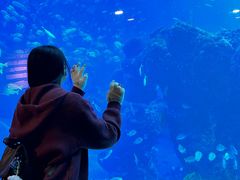 -成都浩海立方海洋公园